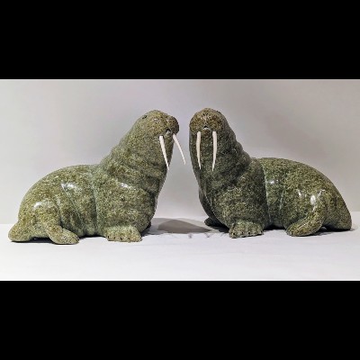 Walrus Couple 