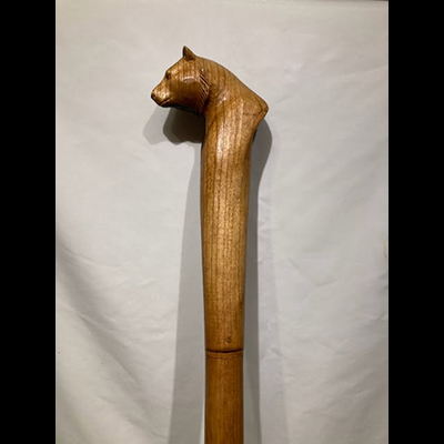 Walking Stick 