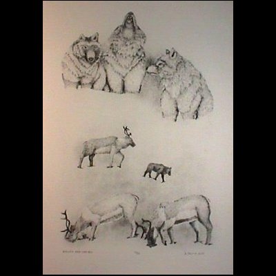  Wolves & Caribou