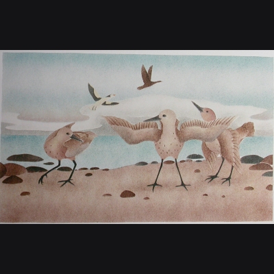  Shore Birds