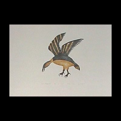  Kiviup Nahaujaqmiuta  [ Hovering Bird ]