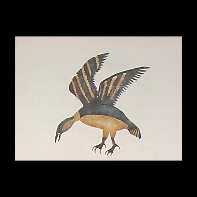  Kiviup Nahaujaqmiuta  [ Hovering Bird ]