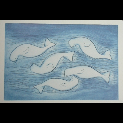  Many Whales