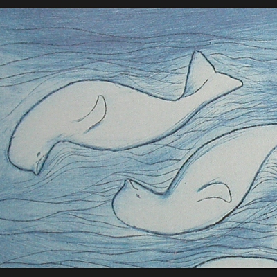  Many Whales