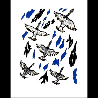  Migrating Birds