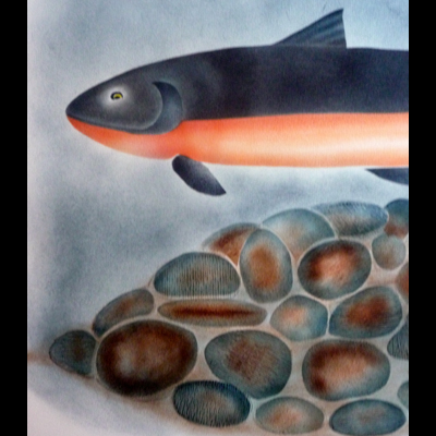  Spawning Char