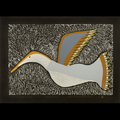  Kanguq (Snow Goose)
