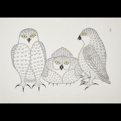  Conference Of Owls