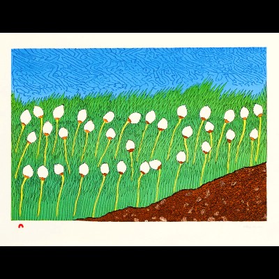  Cotton Grass</br><b>~~LAST ONE~~</b>