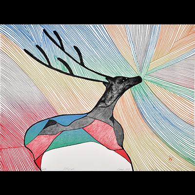  Caribou in Northern Lights