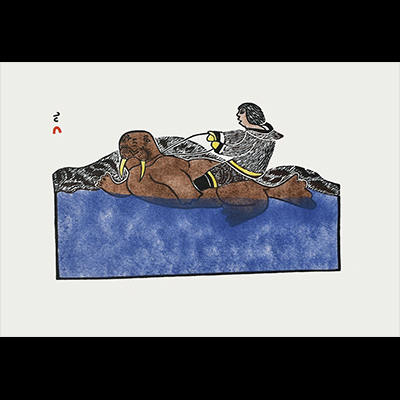  Riding a Walrus