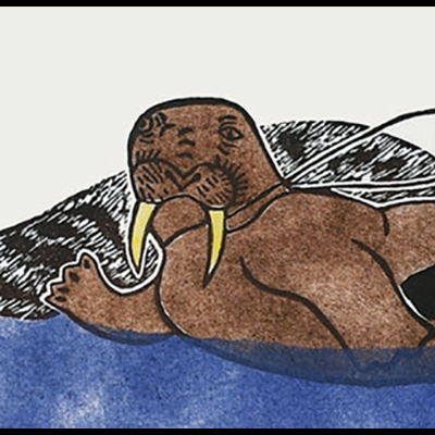  Riding a Walrus