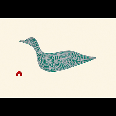  Guillemot
