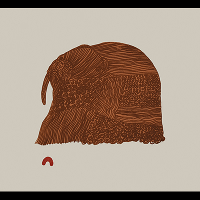  Groovy Walrus