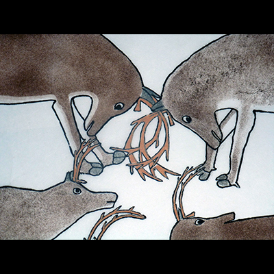  Wolf Eyeing a Herd of Caribou