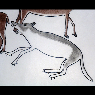  Wolf Eyeing a Herd of Caribou