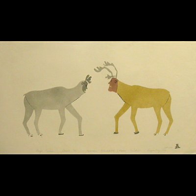  Magic Caribou