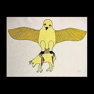  Owl Catches a Rabbit