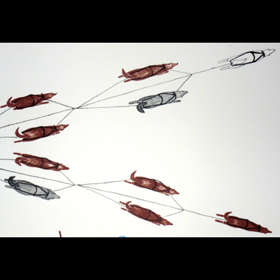  Pulling up the Whales