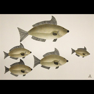  Fish From Greenland