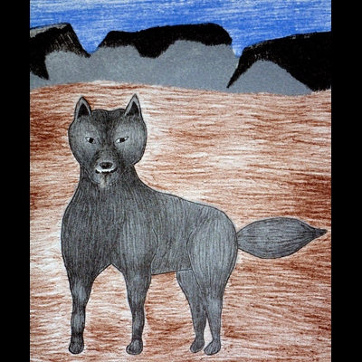  Foxes Watching Our Pups