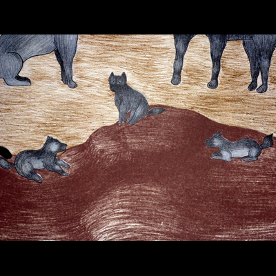  Foxes Watching Our Pups