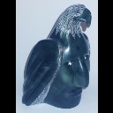 Shaman /Eagle Transformation